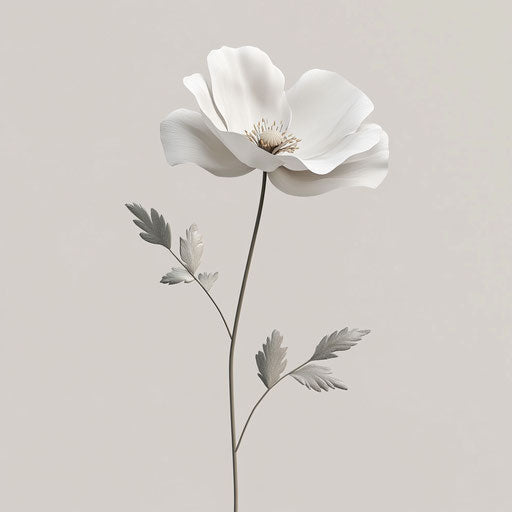 3D poppy on flat white background