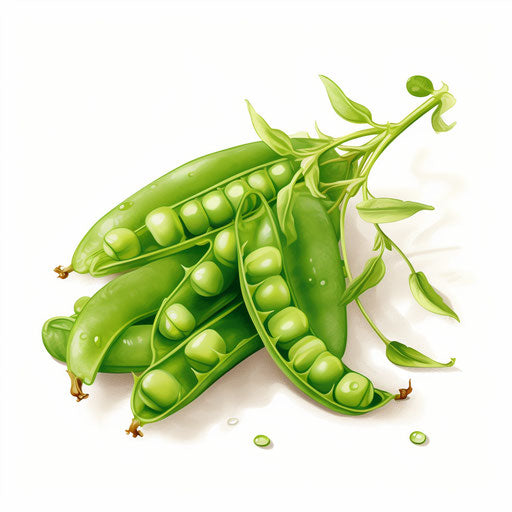 Doodled peas