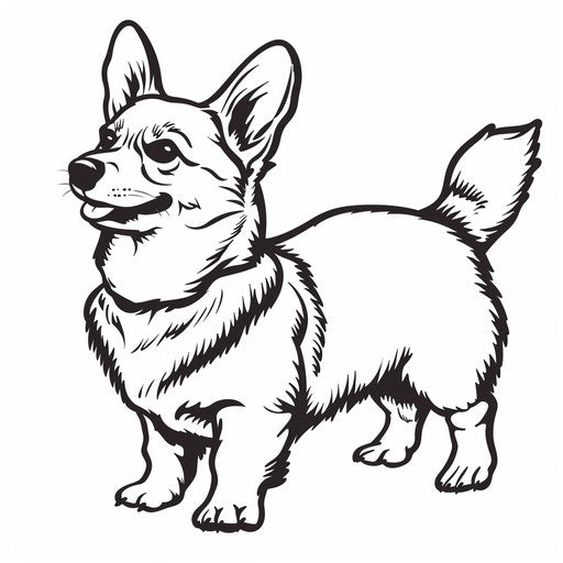 Coloring book page of a corgi standing and wagging its tail