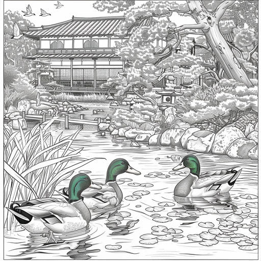 Duck scene in a Japanese garden with koi fish
