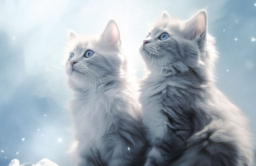 Two grey kittens sitting on a scratching, anglocore style