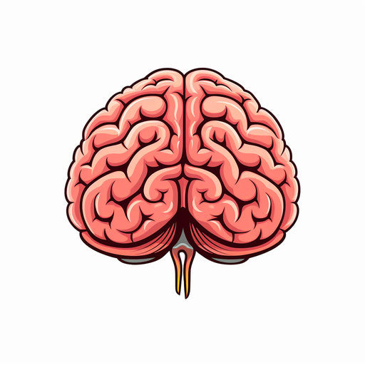 Brain clipart in Minimalist style, on white background