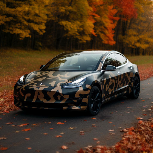 Camouflage of the Tesla Model 3