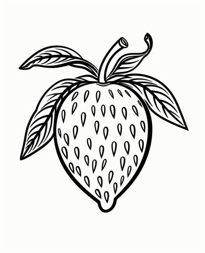 Strawberry coloring pages for kids, toraji style, jagged edges, white background