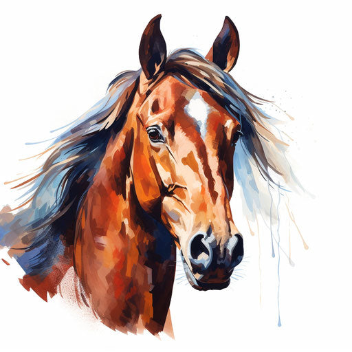 Horse head clipart in Oil painting style on white background