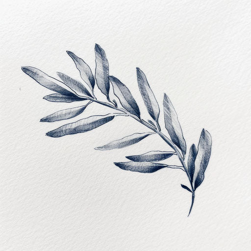 Delicate drawing of an olive branch tattoo design