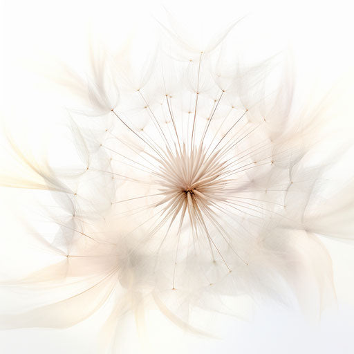 Modernized stylized portrait of a dandelion flower, mandy disher style