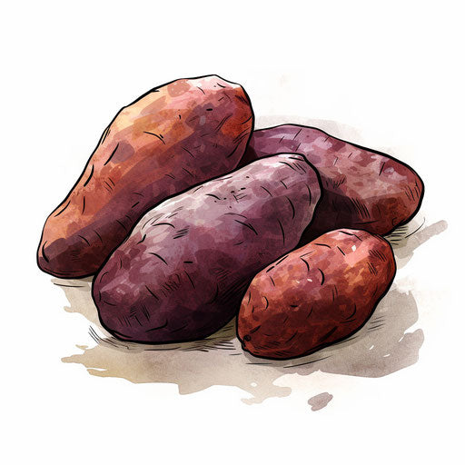 Yam illustration in the style of Chiaroscuro Art, on white background