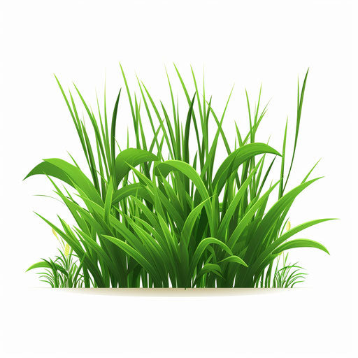 Minimalist grass illustration on white background