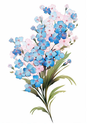 Blue and pink forget-me-not flowers, traditional Japanese style