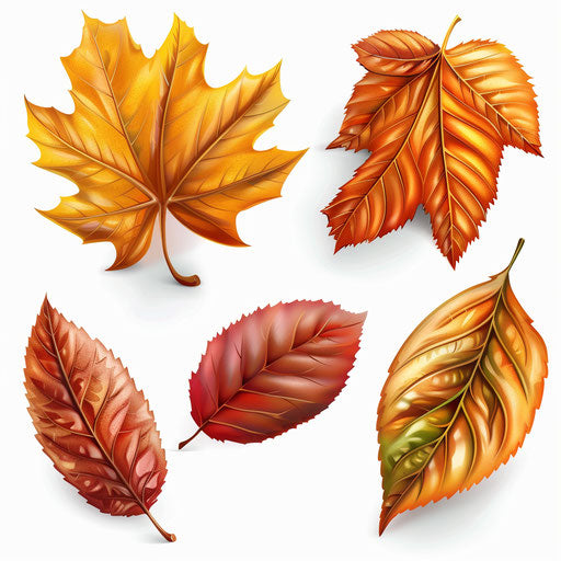 Realistic September clip art on flat white background