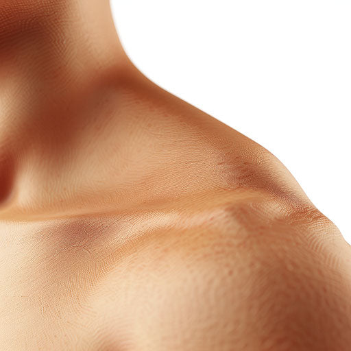 Shoulder clipart in a photo-realistic style on flat white background.