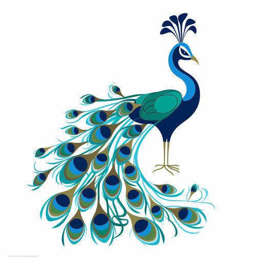 Minimalist peacock illustration on white background