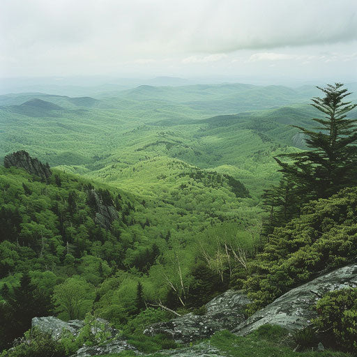 Lush green valleys of Grandfather Mountain in spring