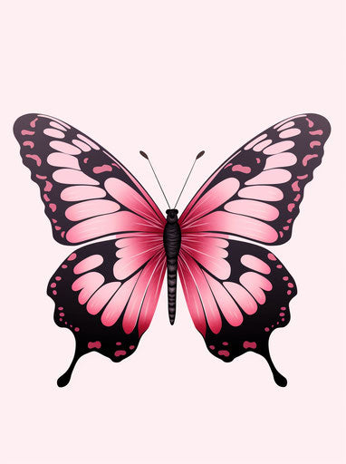 Pink butterfly with black wings and black stripes