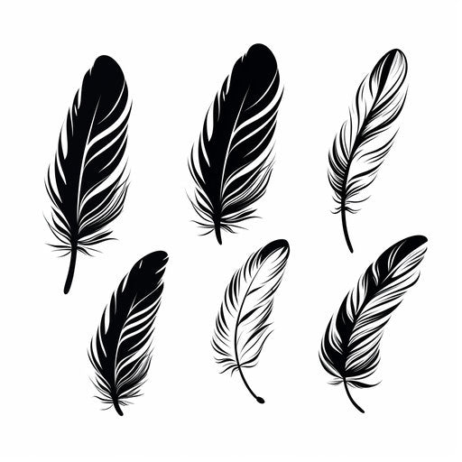 Feathered Feather Ostracism Vector | Price 1 Credit USD $1