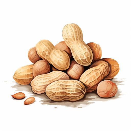 Peanut clipart in the style of Pastel Colors Art, on white background
