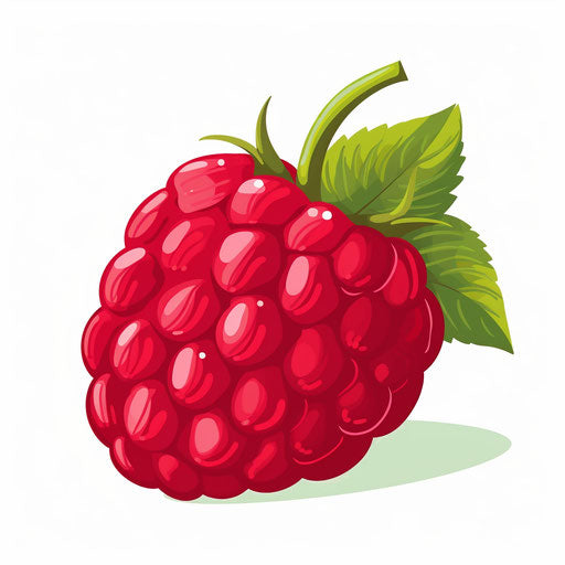 Raspberry illustration in a minimalist style, on white backdrop