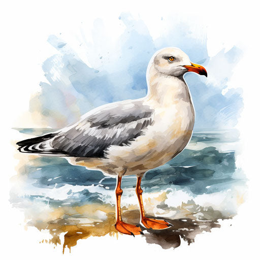 Seagull clipart in the style of Oil painting, on a white background