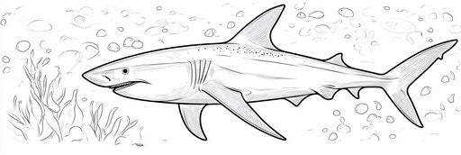 Very simple shark coloring book page 3:1
