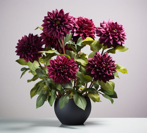 Purple dahlia with green leaves, dark maroon and dark crimson style