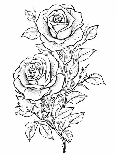 Three roses drawn on white background, elaborate ornamentation