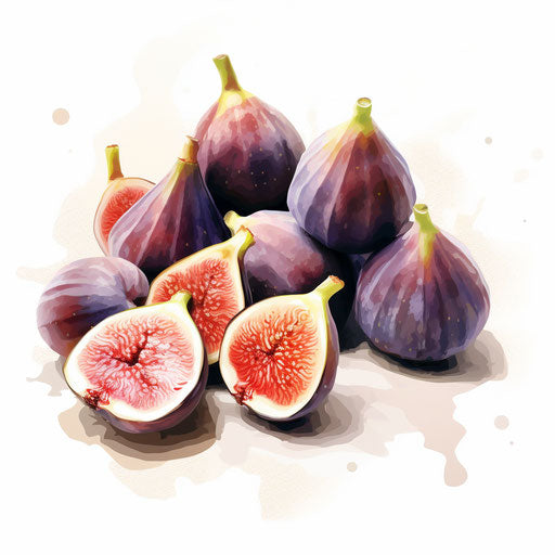 Fig clipart in the style of Impressionistic Art