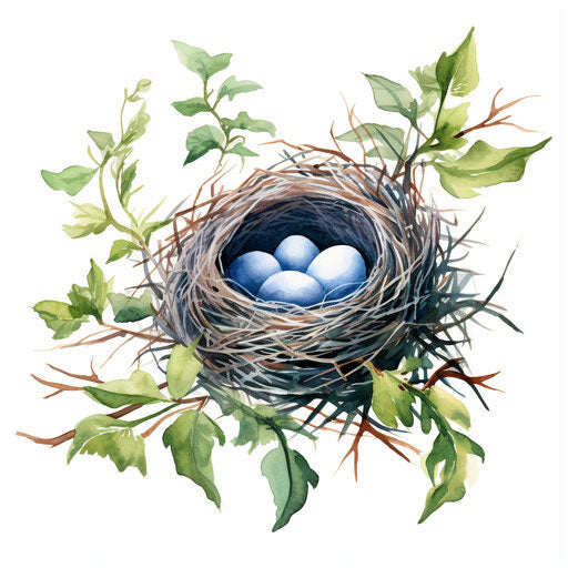 Nest illustration in the style of Oil painting, on a white background