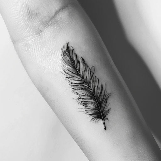 Black feather floating on white background