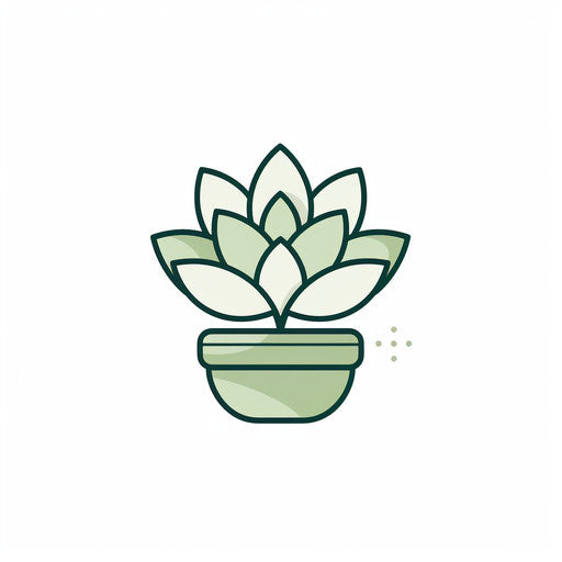 Succulent art in Minimalist style, on white background