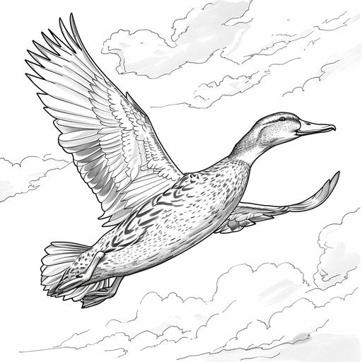 A majestic duck in flight, wings spread wide against a cloudy sky