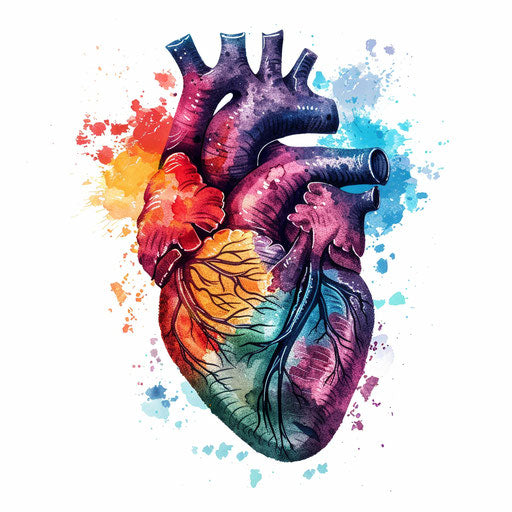 Anatomical heart tattoo design in vibrant watercolor on pure white