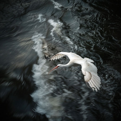 Ibis bird flying over a river with dynamic motion