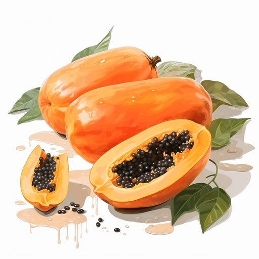 Impressionistic style papaya clipart on white background