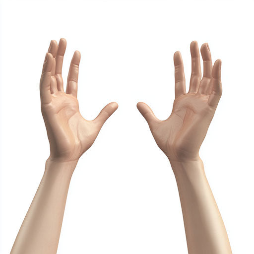 3D hands in photorealistic style with flat white background