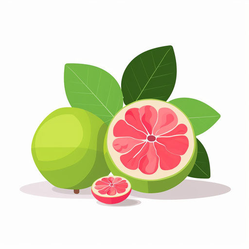 Minimalist style guava illustration on white background