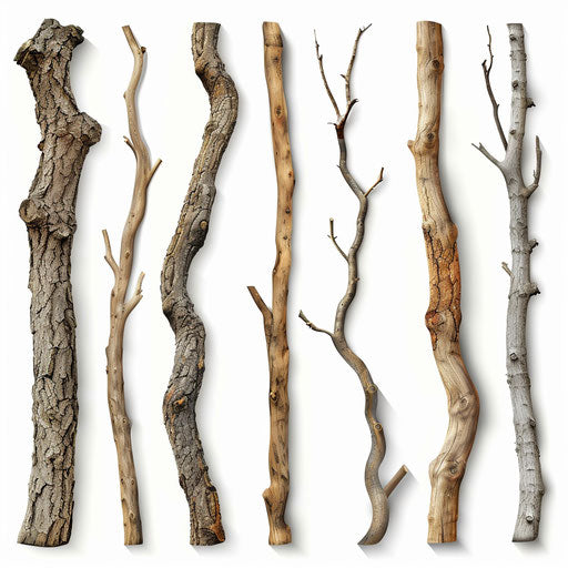 Detailed clip art on flat white background, dynamic lighting