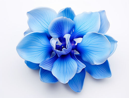 Flower Tattoo - beautify your skin