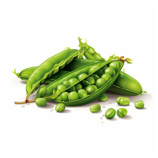 4K Vector Peas Clipart in Chiaroscuro Art Style