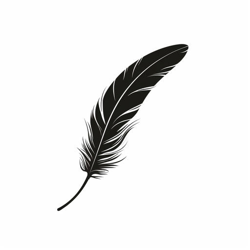 Black Feather Transparent Images