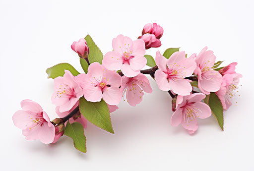 Flower Tattoo - an art masterpiece blossoming with beauty