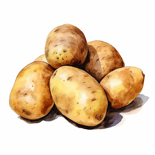 Potato clipart in oil painting style