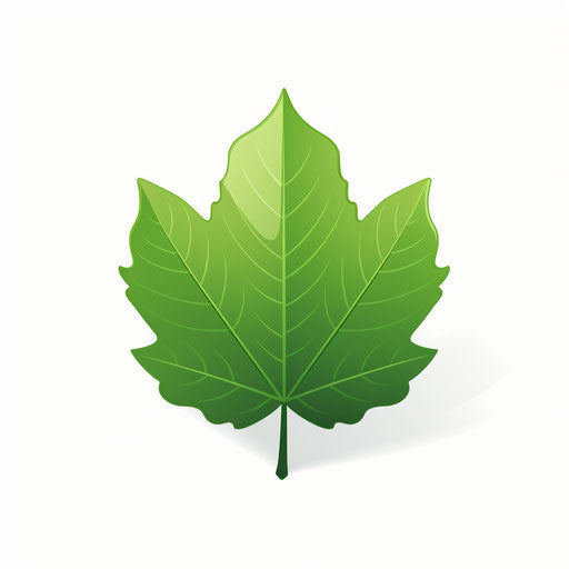 Minimalist style leaf clipart on white background