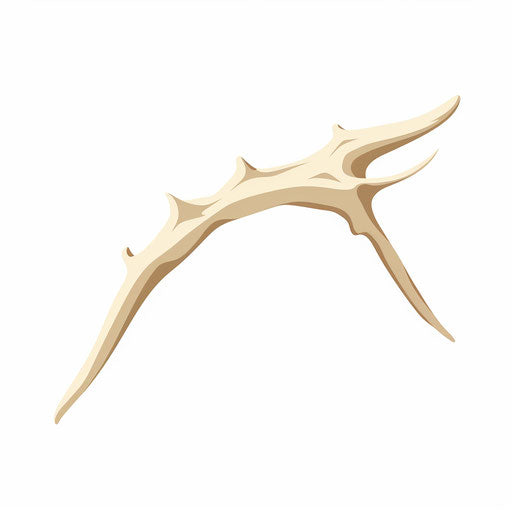 Minimalist Bone Illustration on White Background