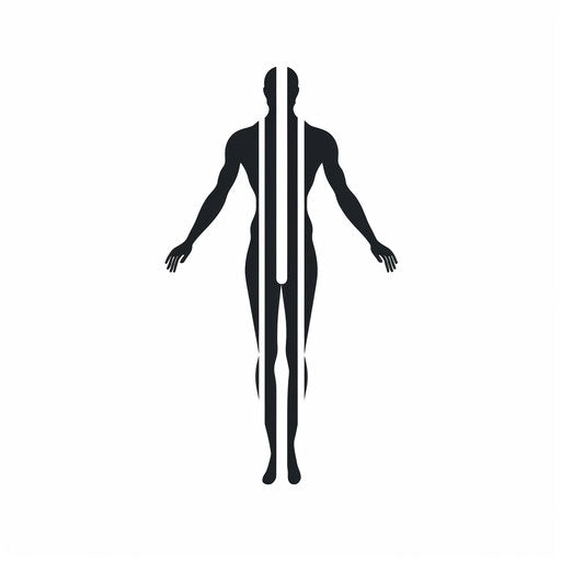 Minimalist body illustration on white background