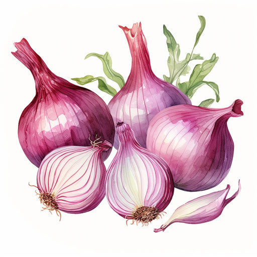 Onion clipart in the style of Pastel Colors Art