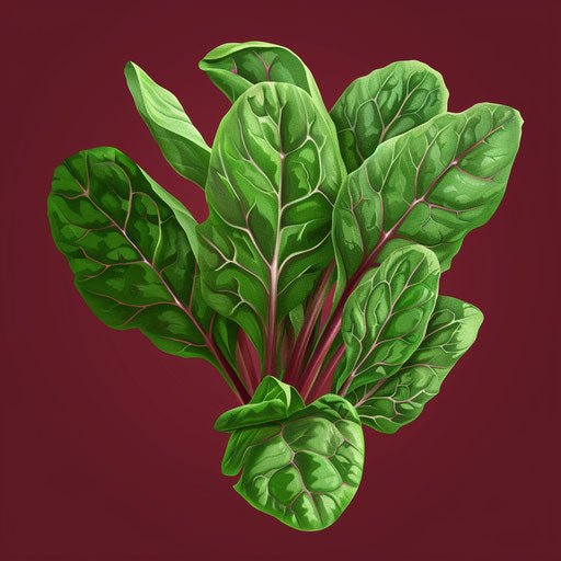 Realistic spinach clipart on a rich burgundy background