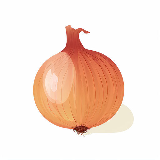 Onion clipart in Minimalist style, on white background