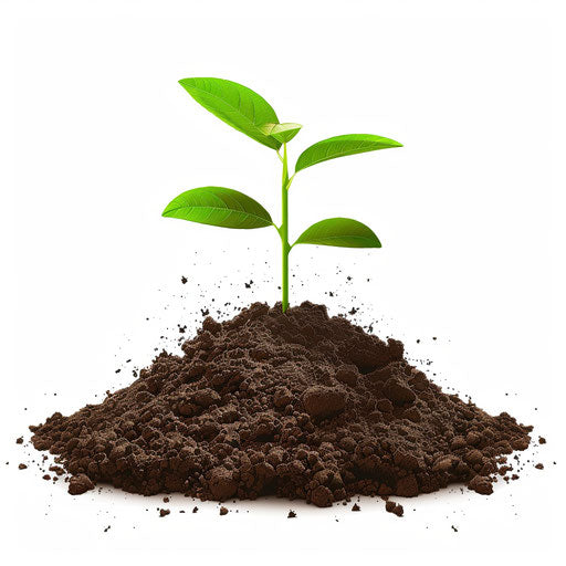 Dirt clipart in photo realistic style with flat white background
