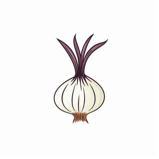 Minimalist onion clipart on white background
